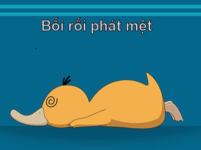 Chế ảnh bối rối.