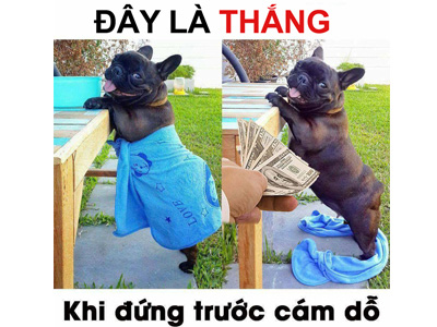 Chế ảnh cám dỗ theo tên