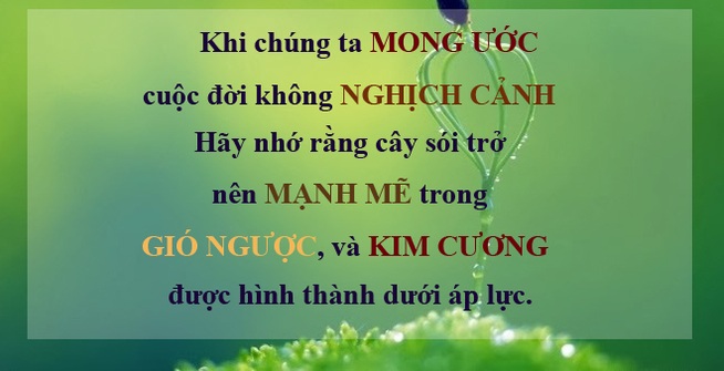 Bộ ảnh 15 câu nói hay cuộc sống đáng trân trọng - Hình 15