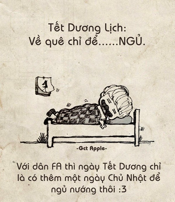 Những hình ảnh chế hài hước vui nhộn cho dịp năm mới 2017 - Hình 15