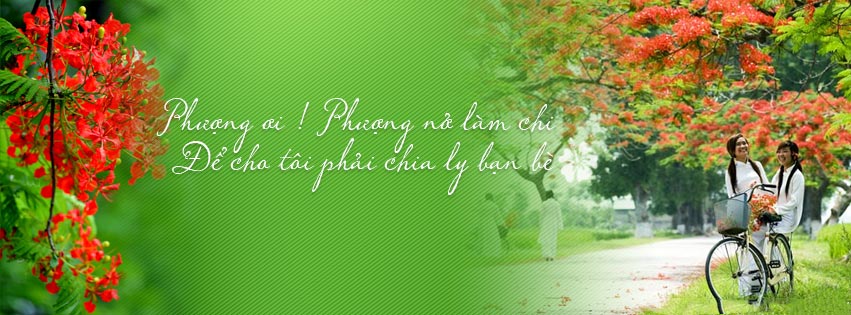 Ảnh bìa, cover face book chào tháng 6 đẹp - Hình 7