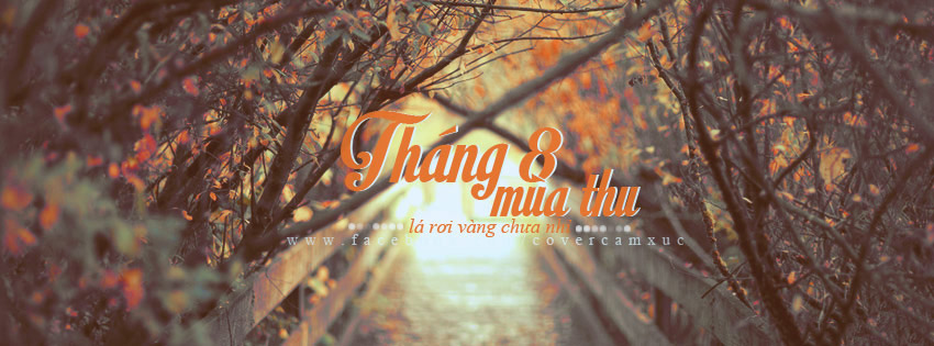 Cover facebook chào tháng 8 - Hình 6