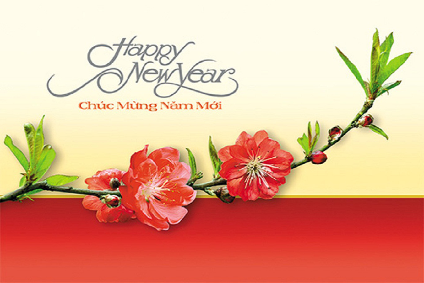 Hình nền năm mới 2017, Hình nền tết  2017 - Hình 6