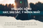 [Top 1000+] Stt hay về cuộc sống, câu nói hay về cuộc sống