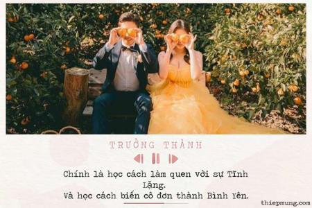 Tạo status quotes hay với ảnh hút nhiều like nhất