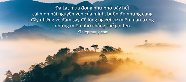 #101 STT về Đà Lạt hay ý nghĩa – Cap thả thính Đà Lạt ngắn cực lãng mạn